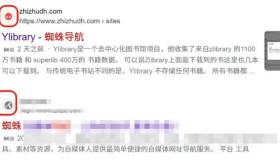 解决WordPress网站图标favicon在bing搜索引擎不显示问题！