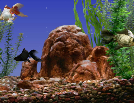 电脑版黑客屏保动态壁纸 超级牛逼 电脑版黑客屏保动态壁纸 超级牛逼