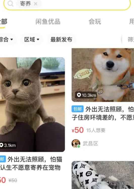 低成本宠物项目,单天利润三五百 低成本宠物项目,单天利润三五百