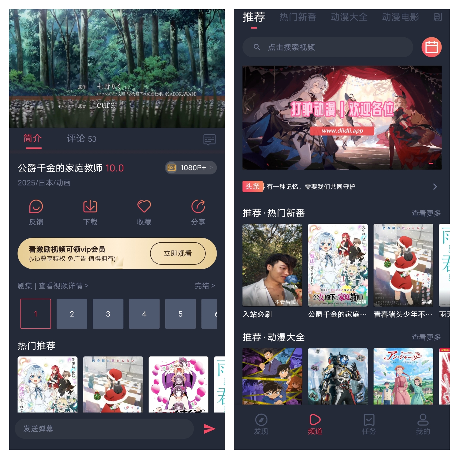 打驴动漫最新去广告纯净版本