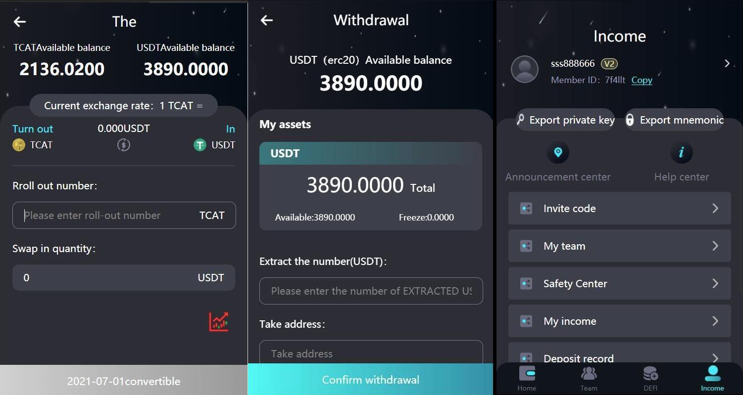 2024 新版 H5 打包版双语言虚拟系统 USDT 支付