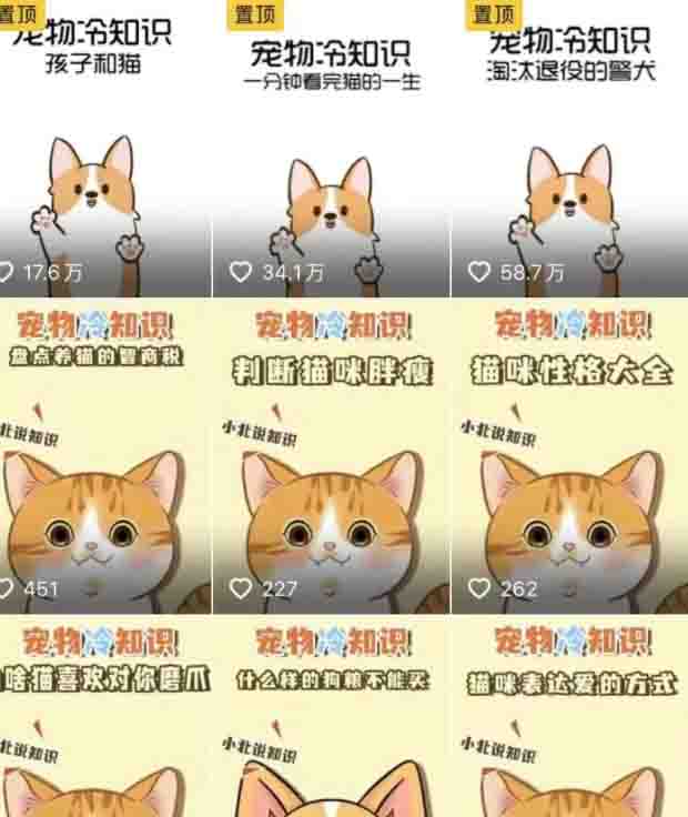 低成本宠物项目,单天利润三五百 低成本宠物项目,单天利润三五百