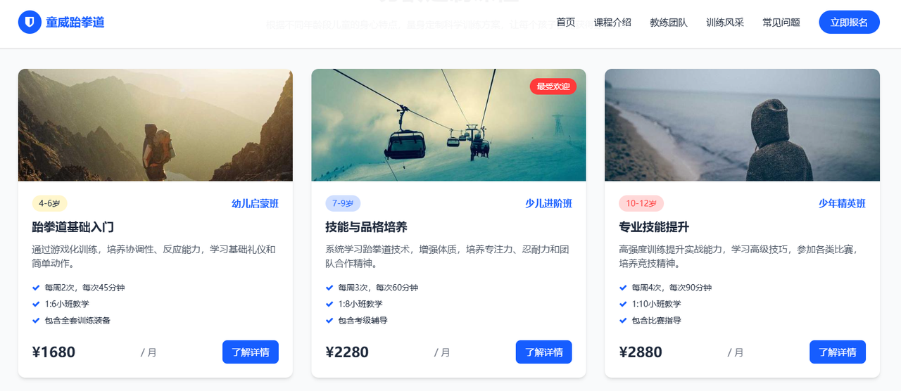 100 套好看的网站模版