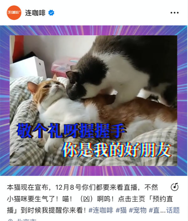 视频号内容创作与账号运营有哪些方法论? 视频号内容创作与账号运营有哪些方法论?