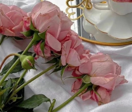 去见朝思夜想的人开心说说 见到自己期待已久的人的幸福句子 去见朝思夜想的人开心说说 见到自己期待已久的人的幸福句子