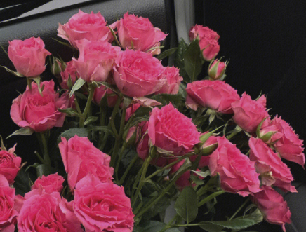 身后空无一人只能靠自己的说说 无助又必须坚强的句子 身后空无一人只能靠自己的说说 无助又必须坚强的句子