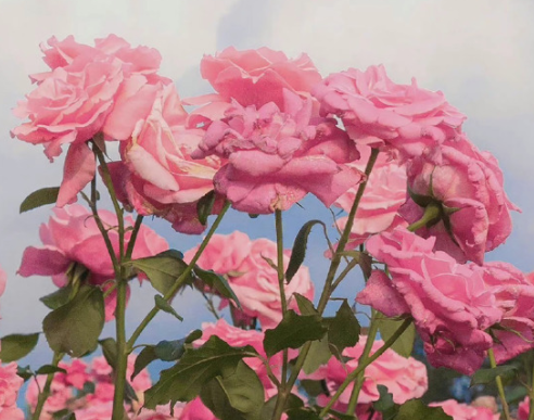 想逃离生活低谷期的句子 逃离现状的说说 想逃离生活低谷期的句子 逃离现状的说说