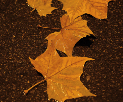 让你走出低谷期的励志语录 精辟又很励志的文案 让你走出低谷期的励志语录 精辟又很励志的文案